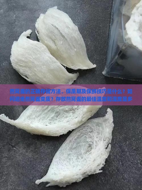 燕窝盏需要怎么存放呢