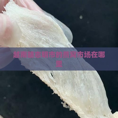 胡志明市哪里有燕窝市场