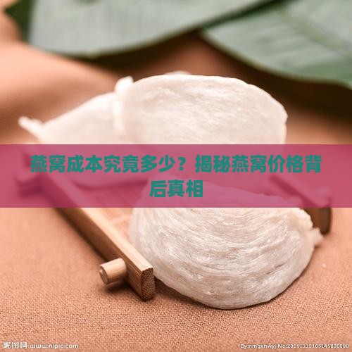 一盏燕窝成本多少元啊