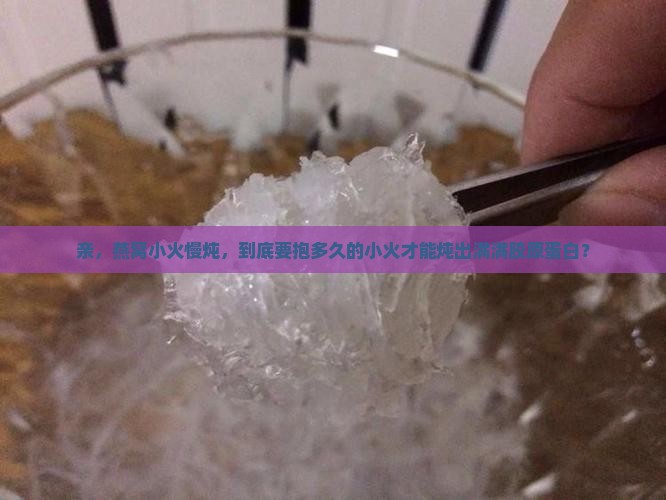 燕窝炖盅小火炖多久能熟