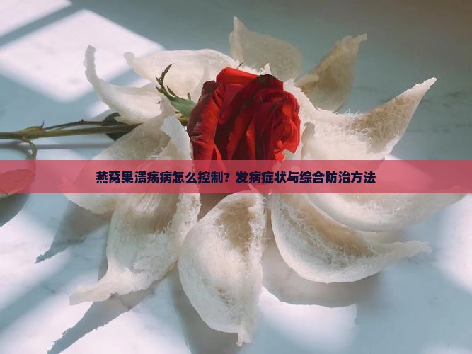 燕窝果溃疡病怎么控制