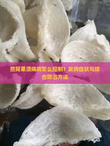 燕窝果溃疡病怎么控制