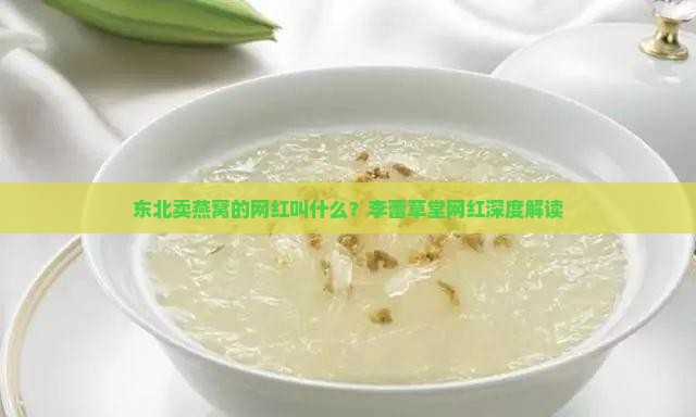 东北卖燕窝网红叫什么