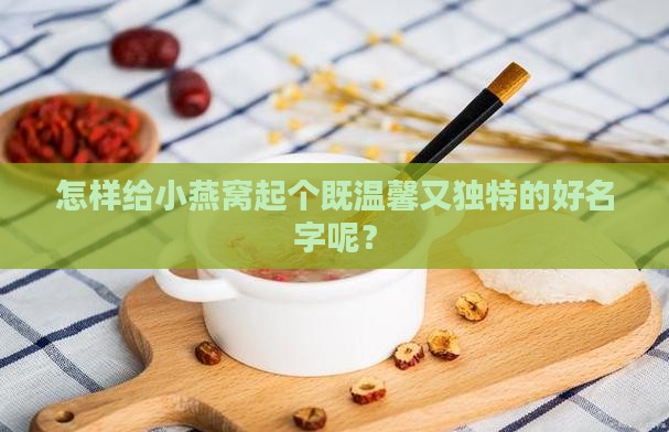 小燕窝名字怎么起名好