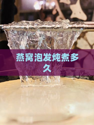 燕窝泡发炖煮锅煮多久