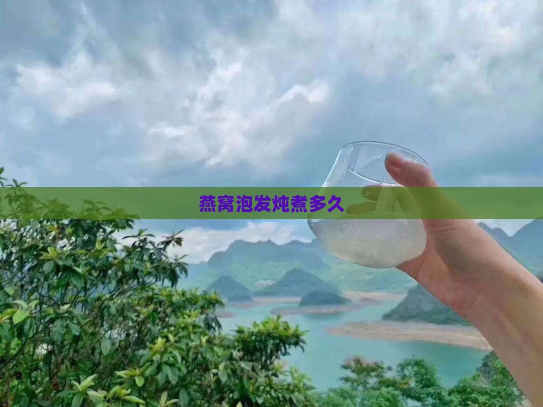 燕窝泡发炖煮锅煮多久