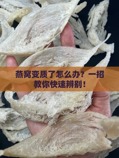 燕窝怎么分辨坏没坏掉呢