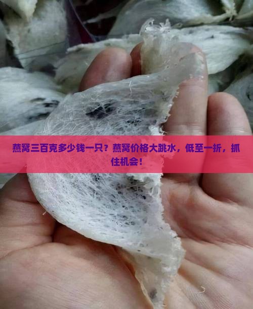 燕窝三百克多少钱一只 燕窝三百克多少钱一只