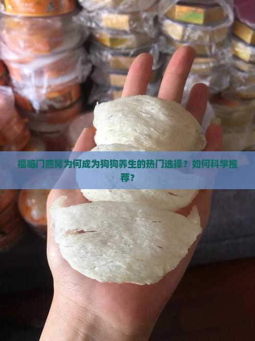 福临门燕窝什么狗狗推荐