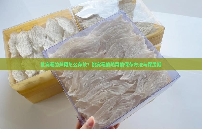 挑完毛的燕窝怎么存放