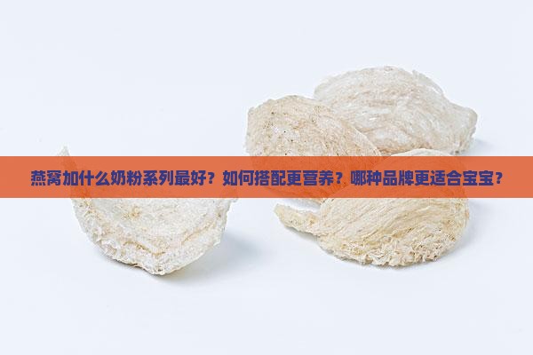 燕窝加什么奶粉系列最好