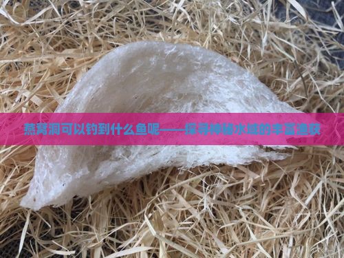燕窝洞可以钓到什么鱼呢