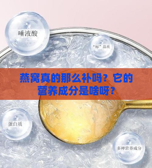 燕窝的营养成分是多少