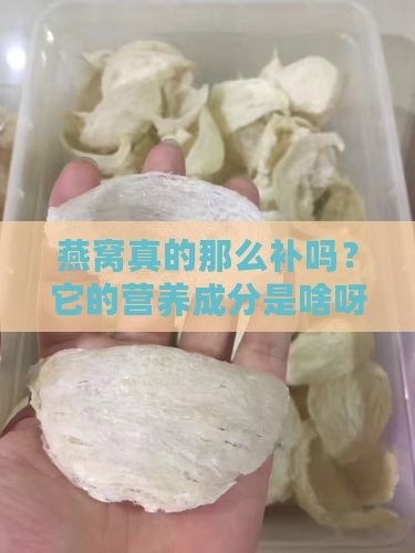 燕窝的营养成分是多少