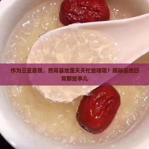 三亚燕窝基地干什么的啊