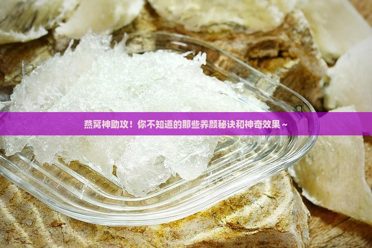 燕窝有什么好功效与作用