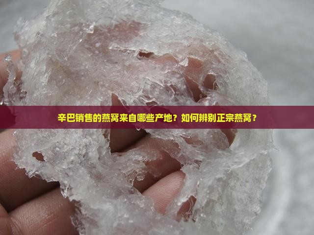 辛巴燕窝哪里产的正宗