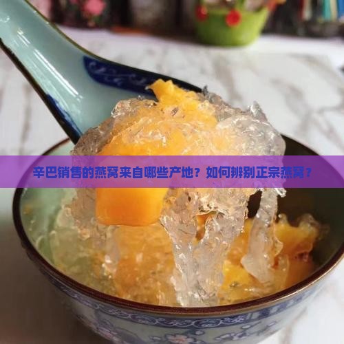 辛巴燕窝哪里产的正宗