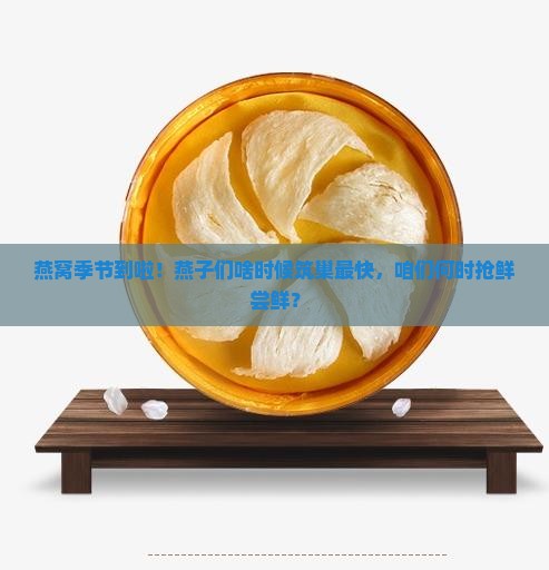 燕窝什么时候收获最快