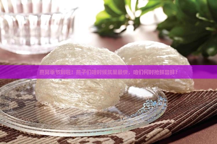 燕窝什么时候收获最快