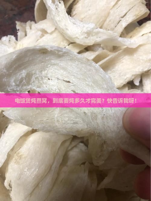 电饭煲炖燕窝炖多久最好