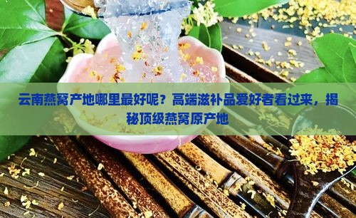 云南燕窝产地哪里最好呢