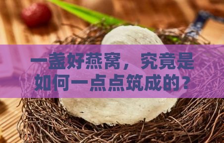 燕窝筑成的过程是什么