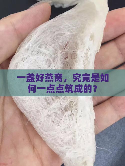 燕窝筑成的过程是什么