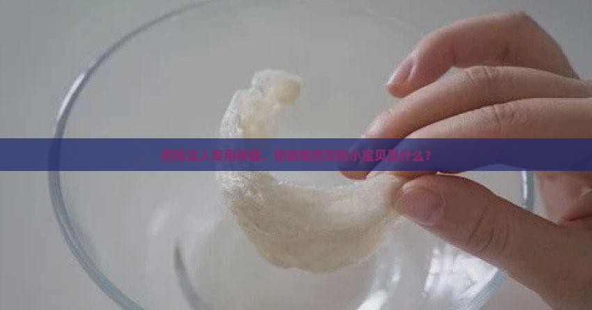 喝燕窝的器皿叫什么名字