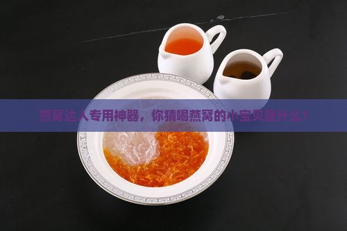 喝燕窝的器皿叫什么名字