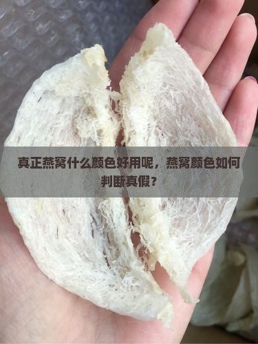 真正燕窝什么颜色好用呢