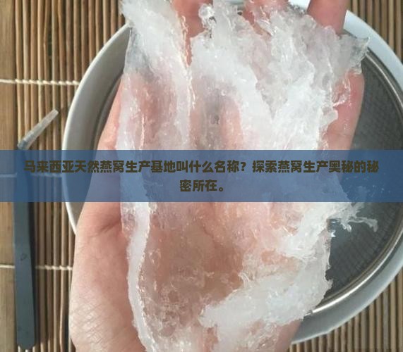 造燕窝的基地叫什么名称