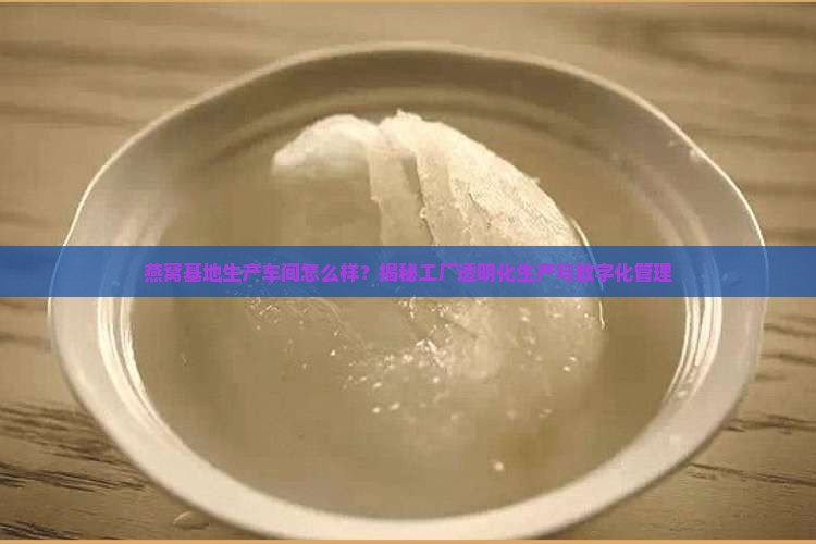 燕窝基地生产车间怎么样