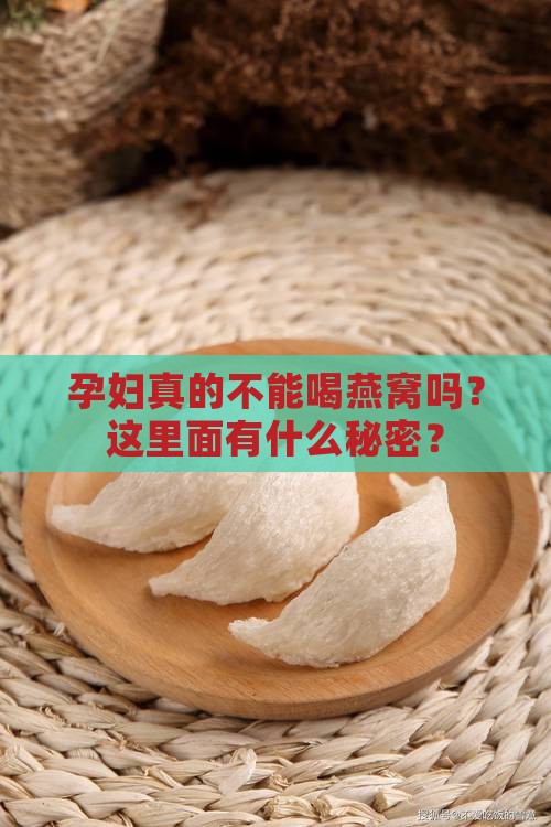 为什么不建议孕妇喝燕窝