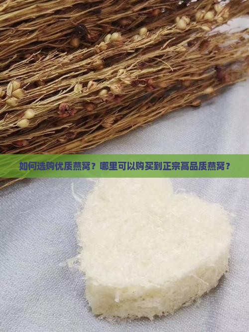 燕窝去哪里买到最好的呢