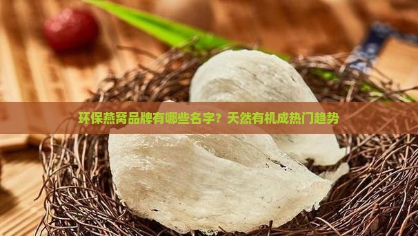 环保燕窝品牌有哪些名字