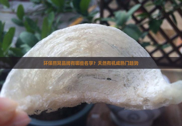 环保燕窝品牌有哪些名字