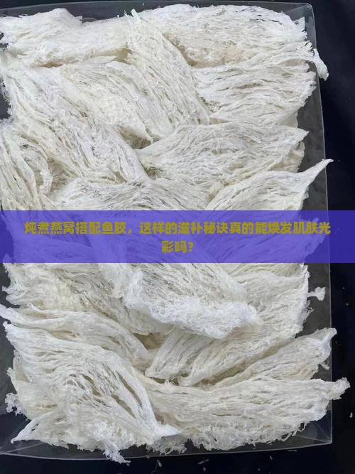 燕窝炖鱼胶效果怎么样