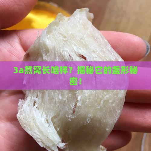 3a燕窝是什么盏形的