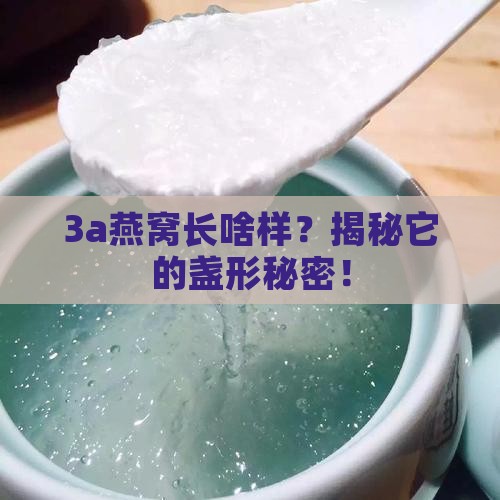 3a燕窝是什么盏形的