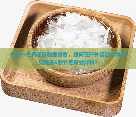 竹燕窝什么狗狗推荐好物