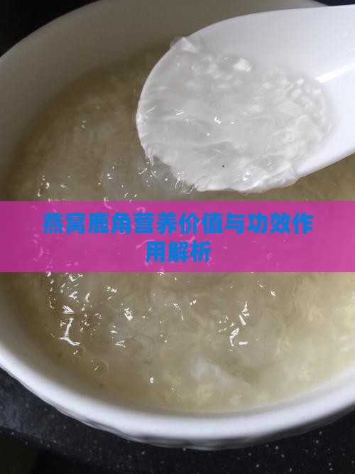 鹿角燕窝有什么营养价值