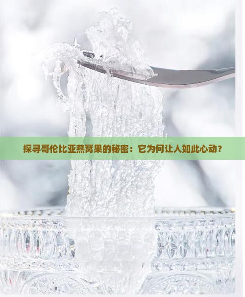 哥伦比亚燕窝果怎么样