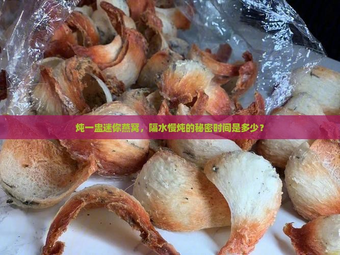 迷你燕窝炖盅隔水炖多久