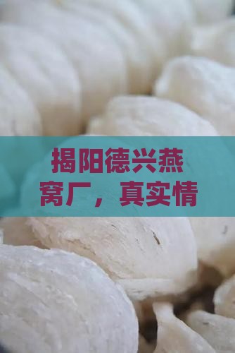 揭阳德兴燕窝厂怎么样