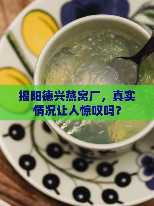 揭阳德兴燕窝厂怎么样