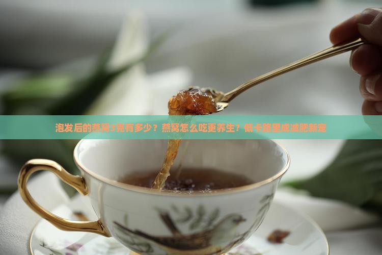 泡发后的燕窝3克有多少