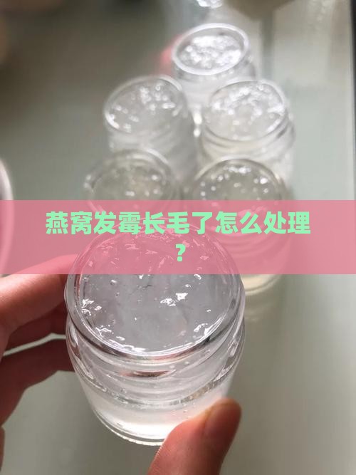 女生小燕窝长毛了怎么办