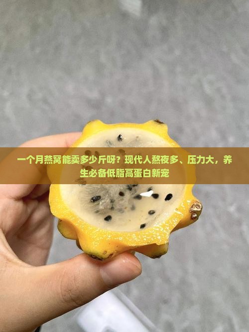 一个月燕窝能卖多少斤呀