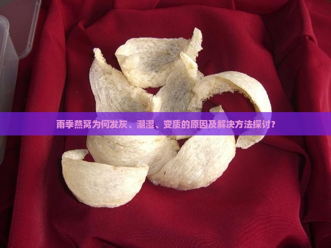 雨季燕窝发灰怎么回事啊